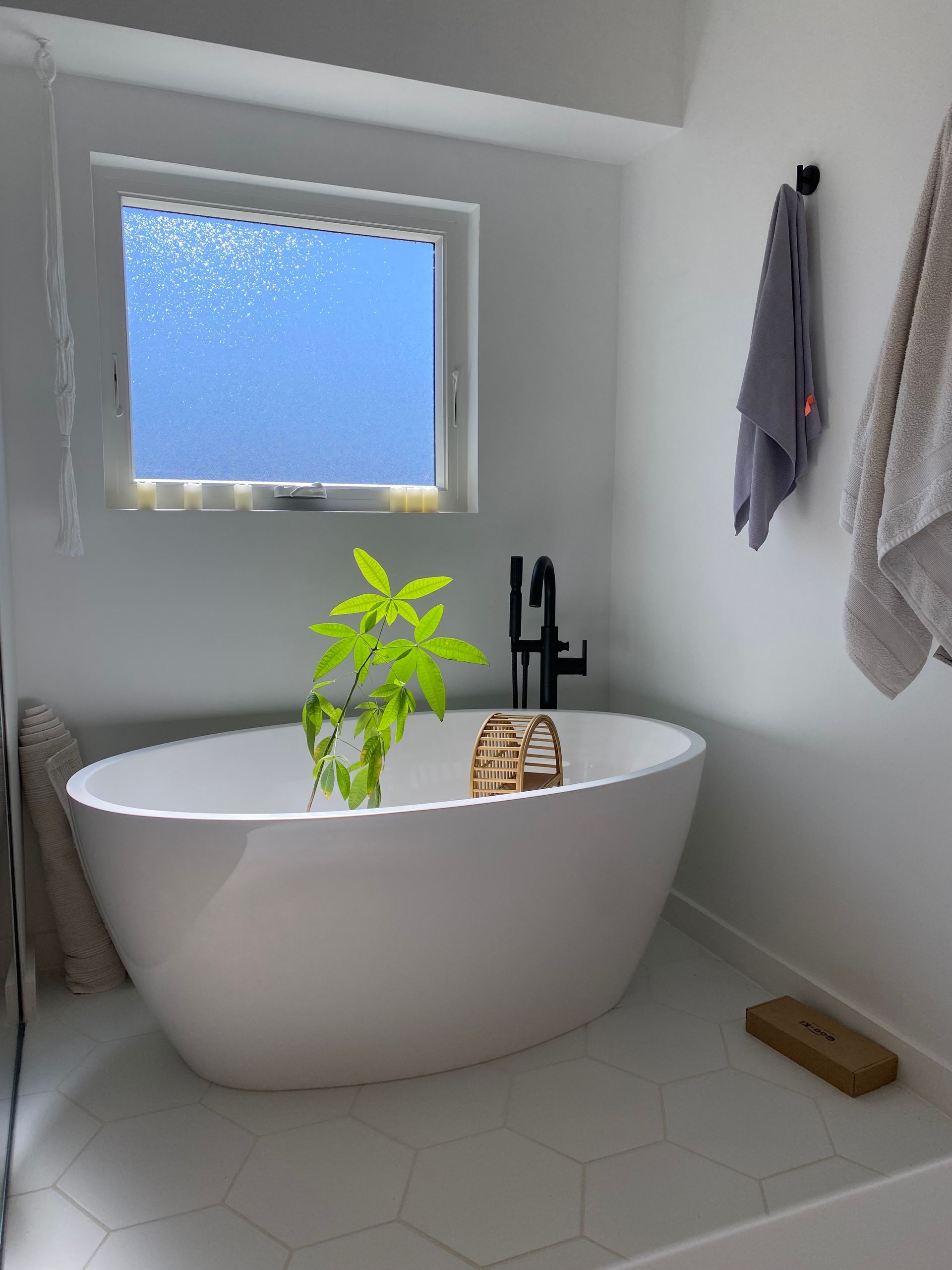 Abigail Master On Suite Remodel