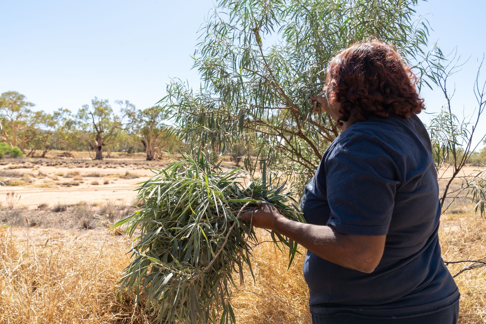 A woman is standing in a field holding a bunch of leaves.