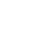 Ferguson Insurance logo