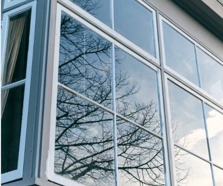 White-framed windows reflecting a bare tree against a light-colored building.