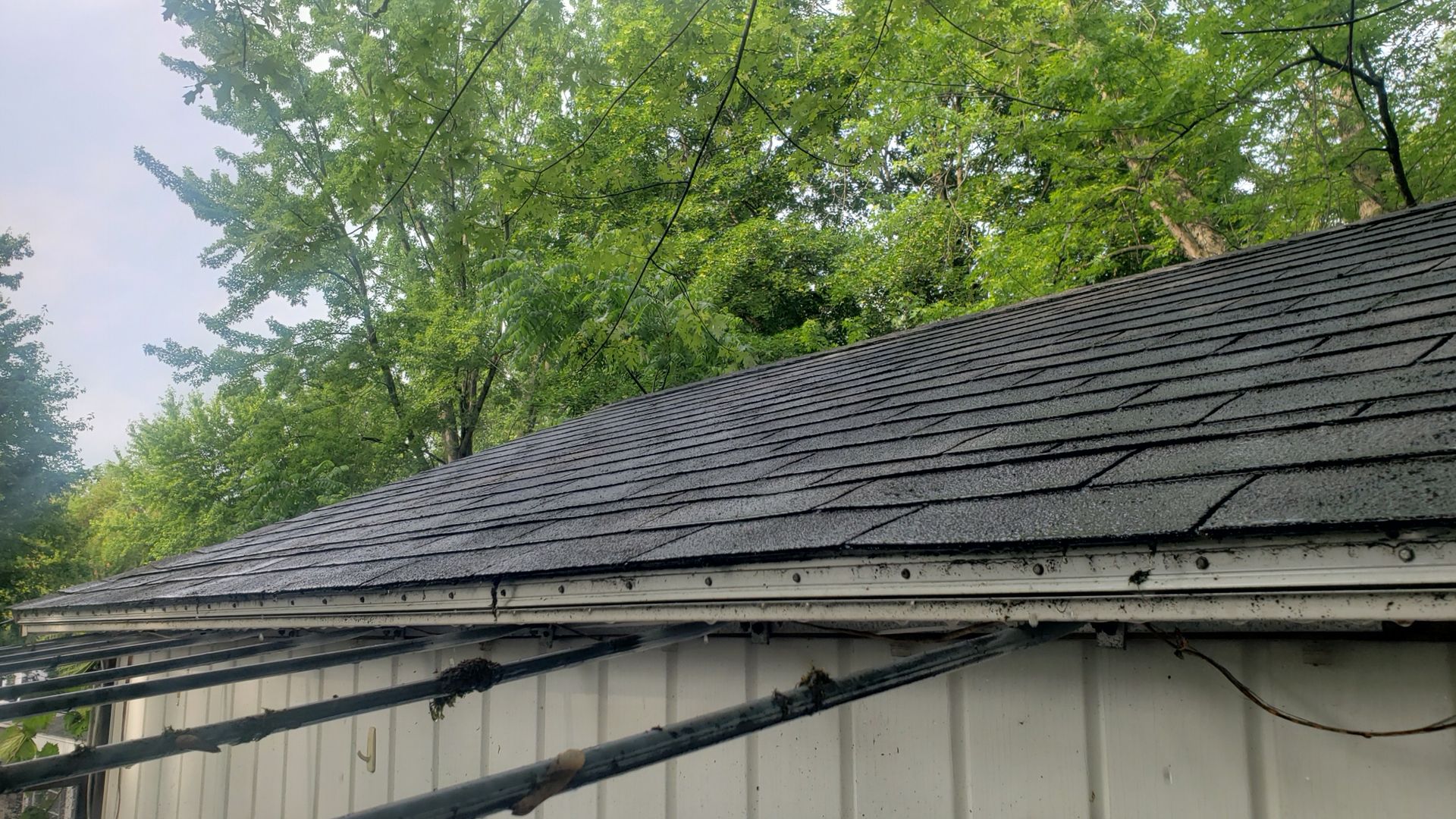 Black asphalt shingle roof of a white building; lush green trees in the background.