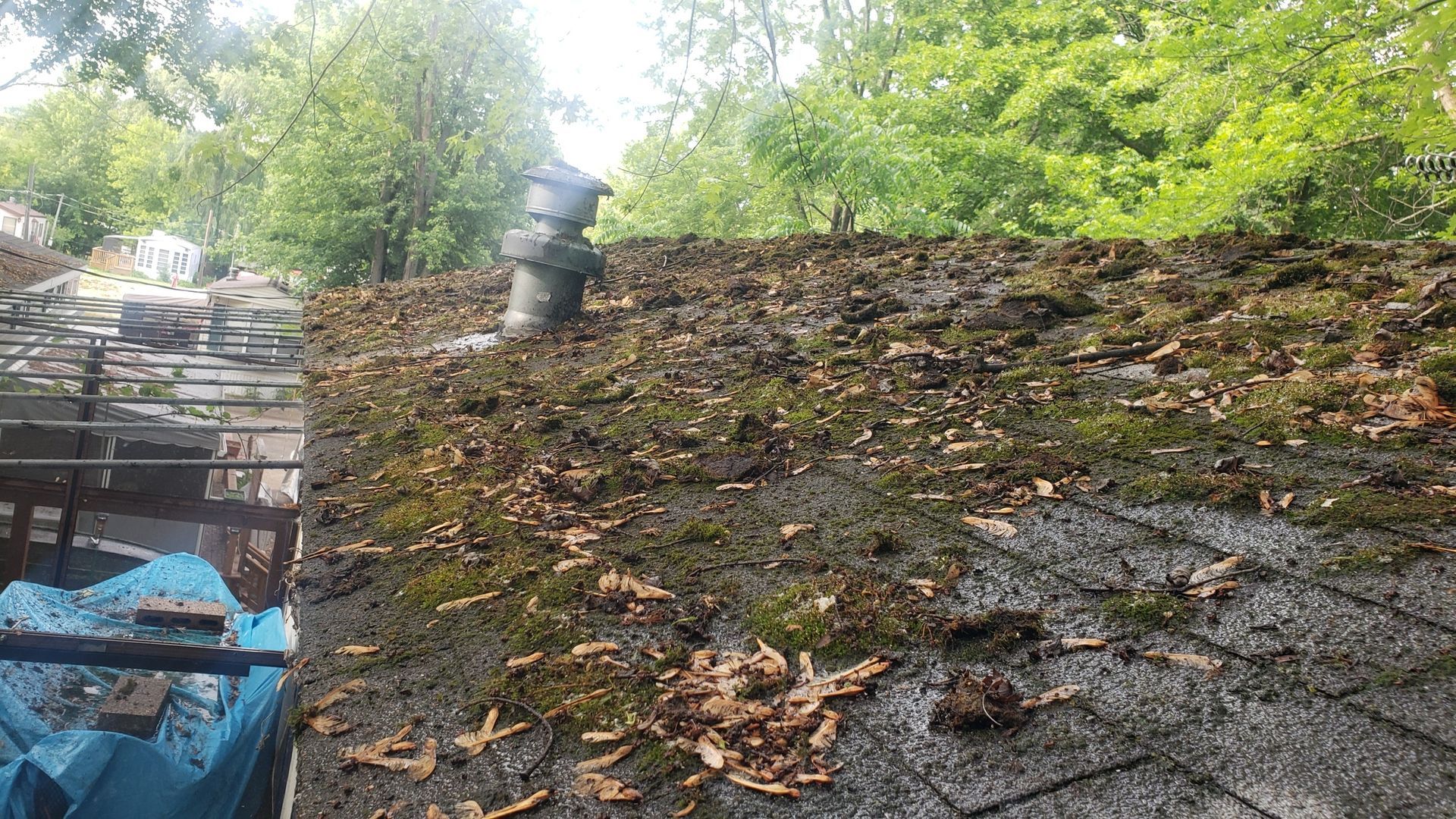 A moss-covered roof with a chimney, surrounded by trees, possibly needs repair.