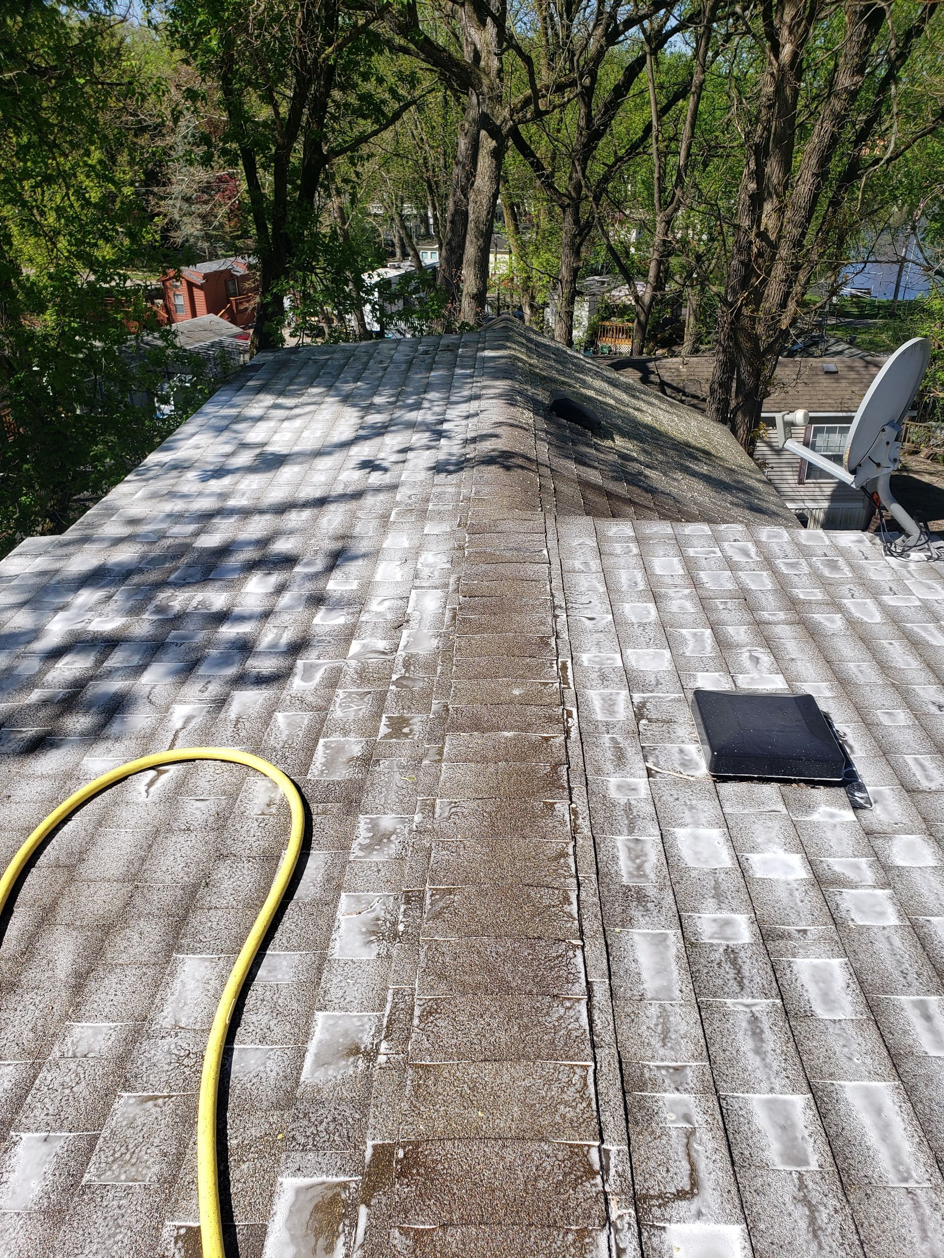 Roof with moss and algae, viewed from above, with a yellow hose and satellite dish.