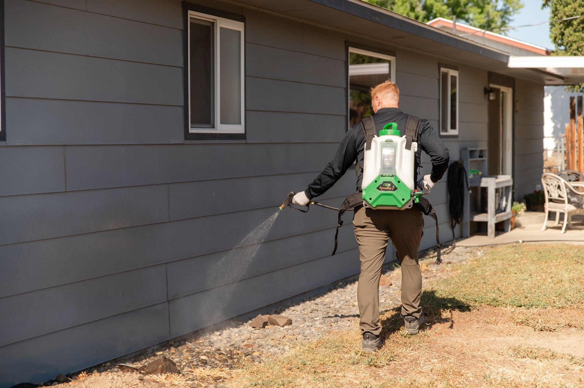 ant control and extermination in woodinville wa