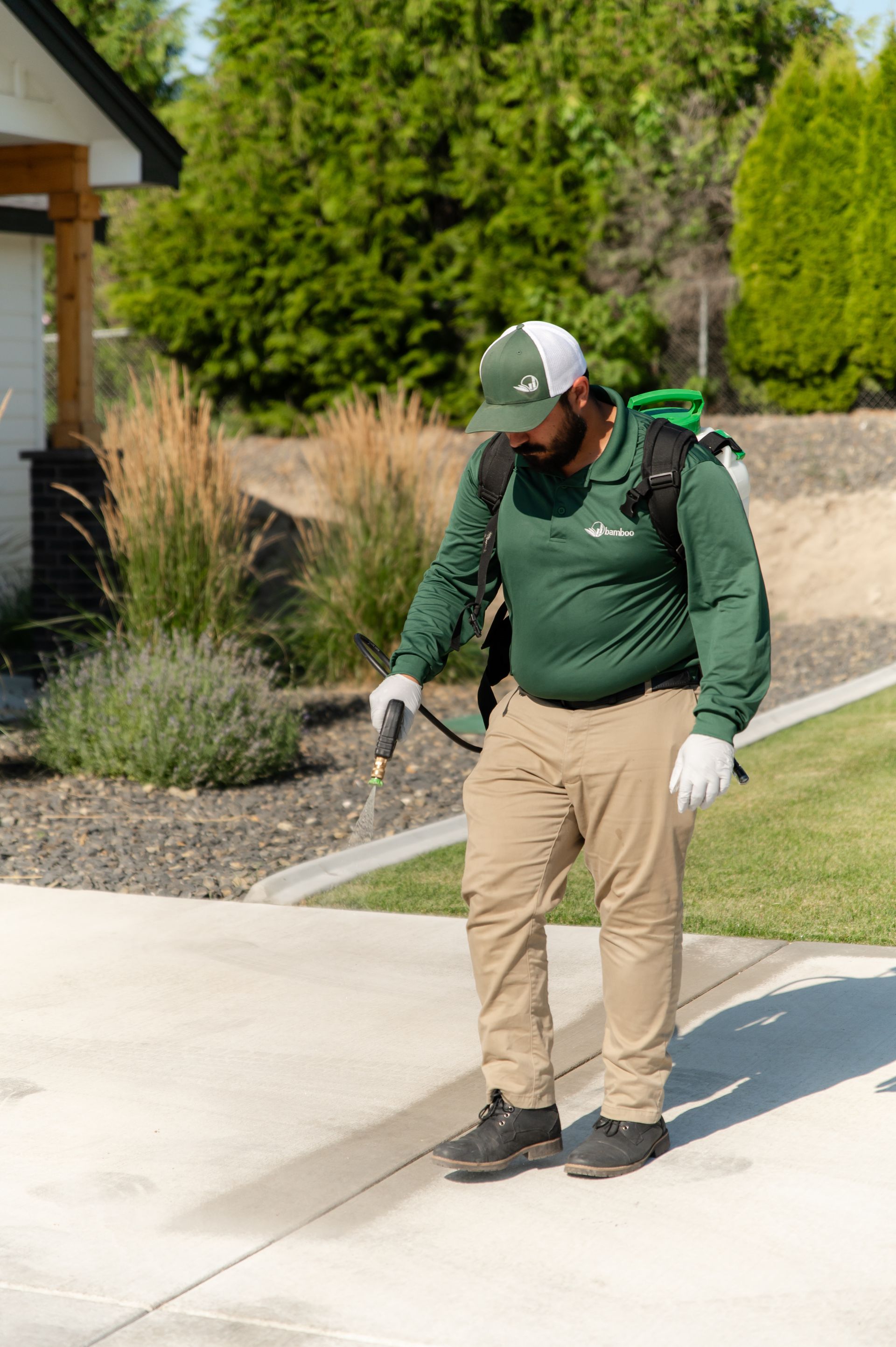 Pest Control Redmond WA