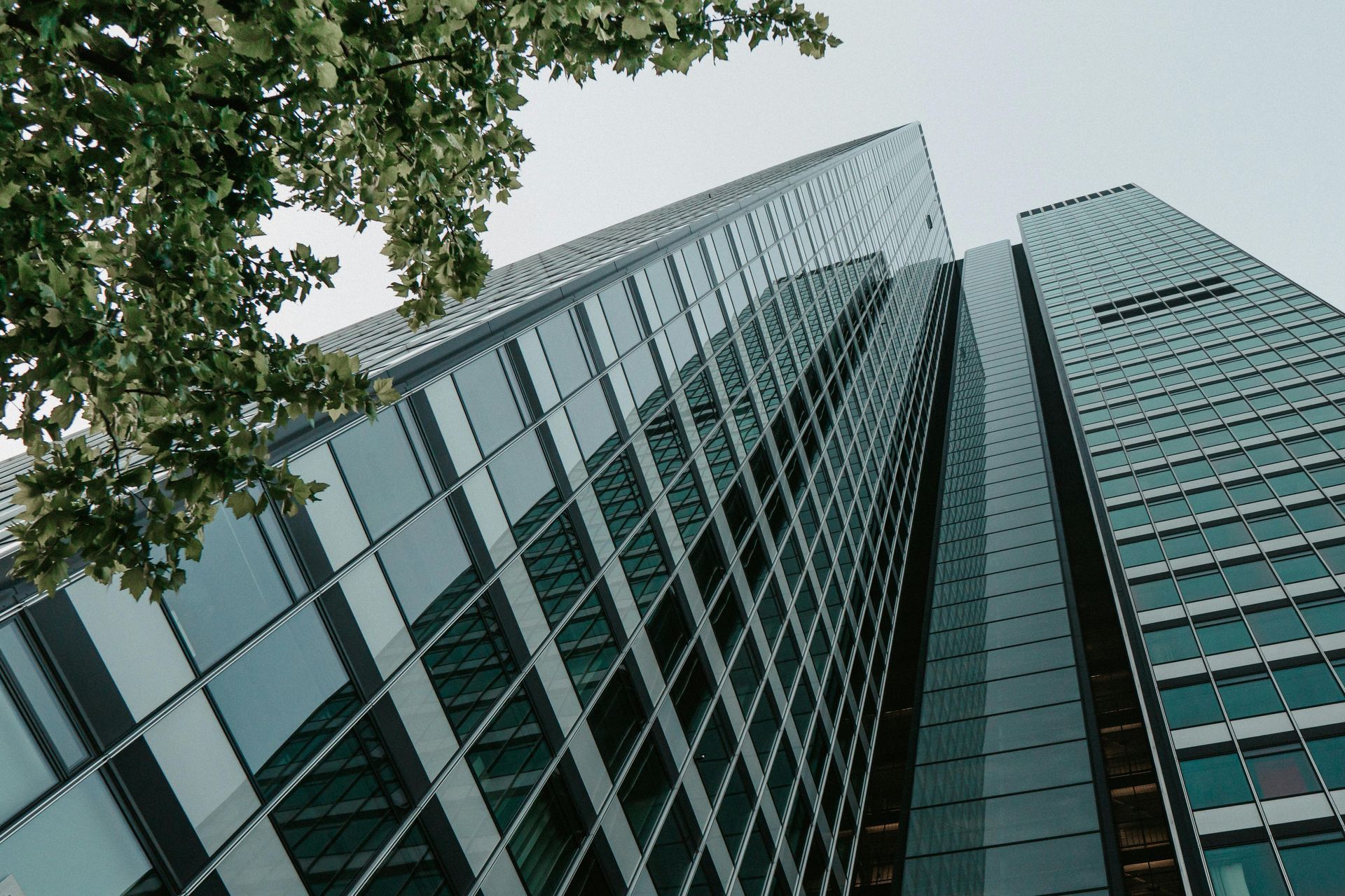 Glass skyscrapers seen from below, framed by green tree branches against a cloudy sky