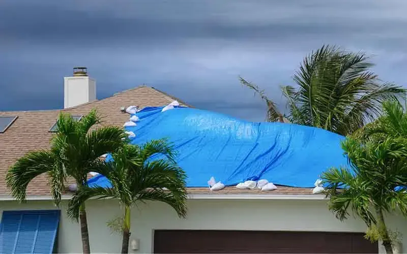 A blue tarp covers a damaged roof on a house, palm trees in the foreground, overcast sky.