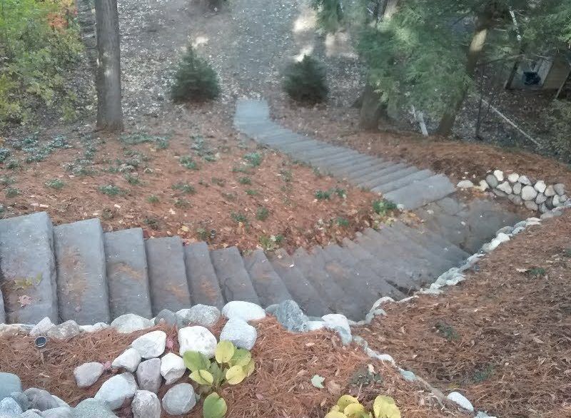 A set of stairs going up a hill in the woods