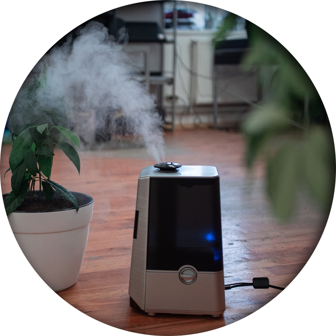 A working air purifier beside some indoor plants in a living room