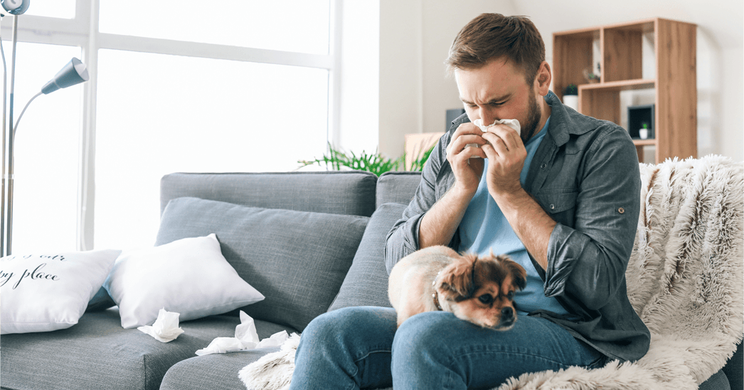 A homeowner with a pet dog on his lap sneezing because of pet dander allergies