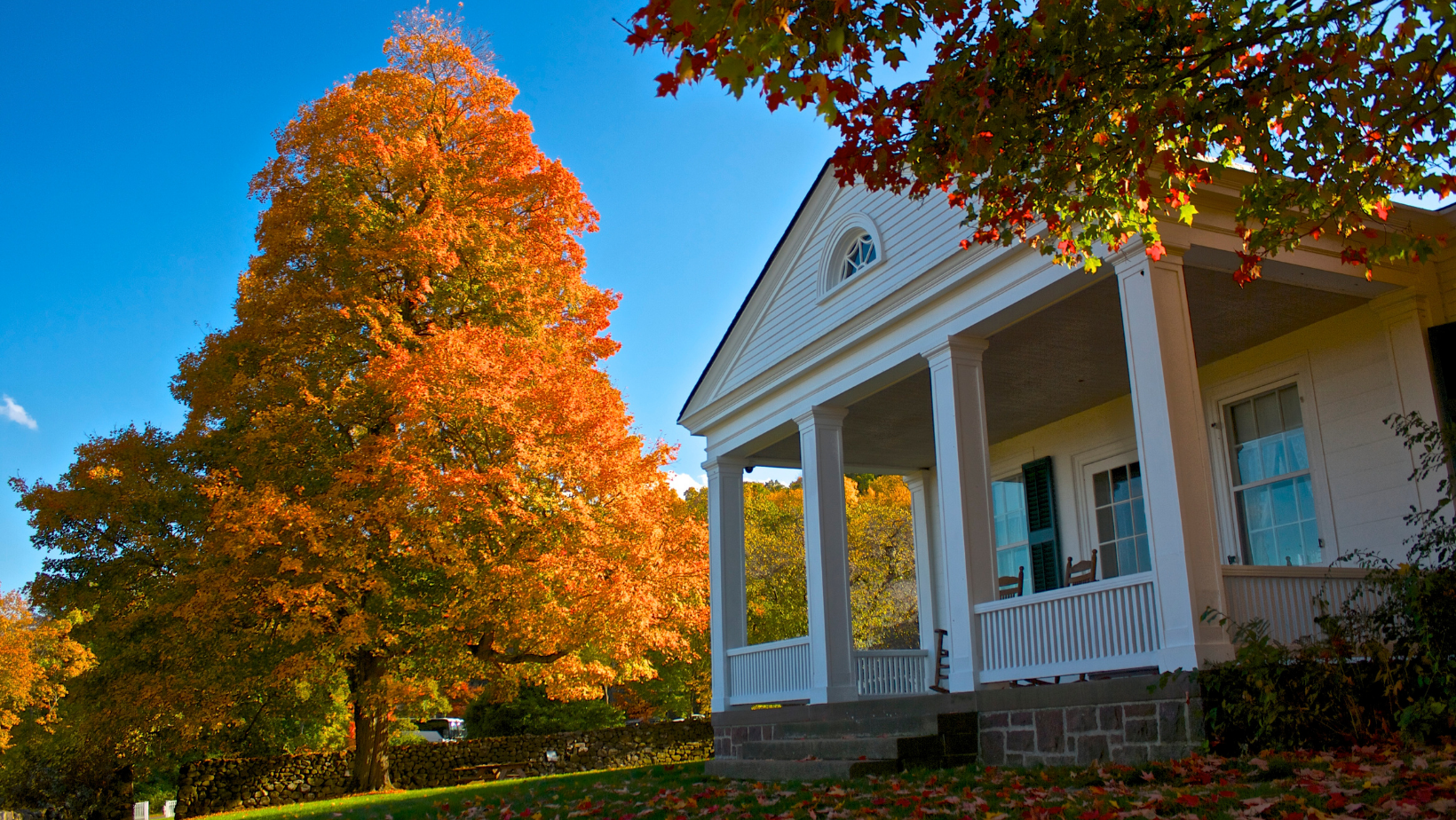 A mature maple tree with bright fall foliage highlights the front yard of an older Atlanta-area home.