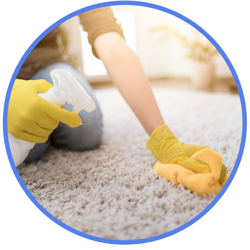 woman cleaning carpet with brush