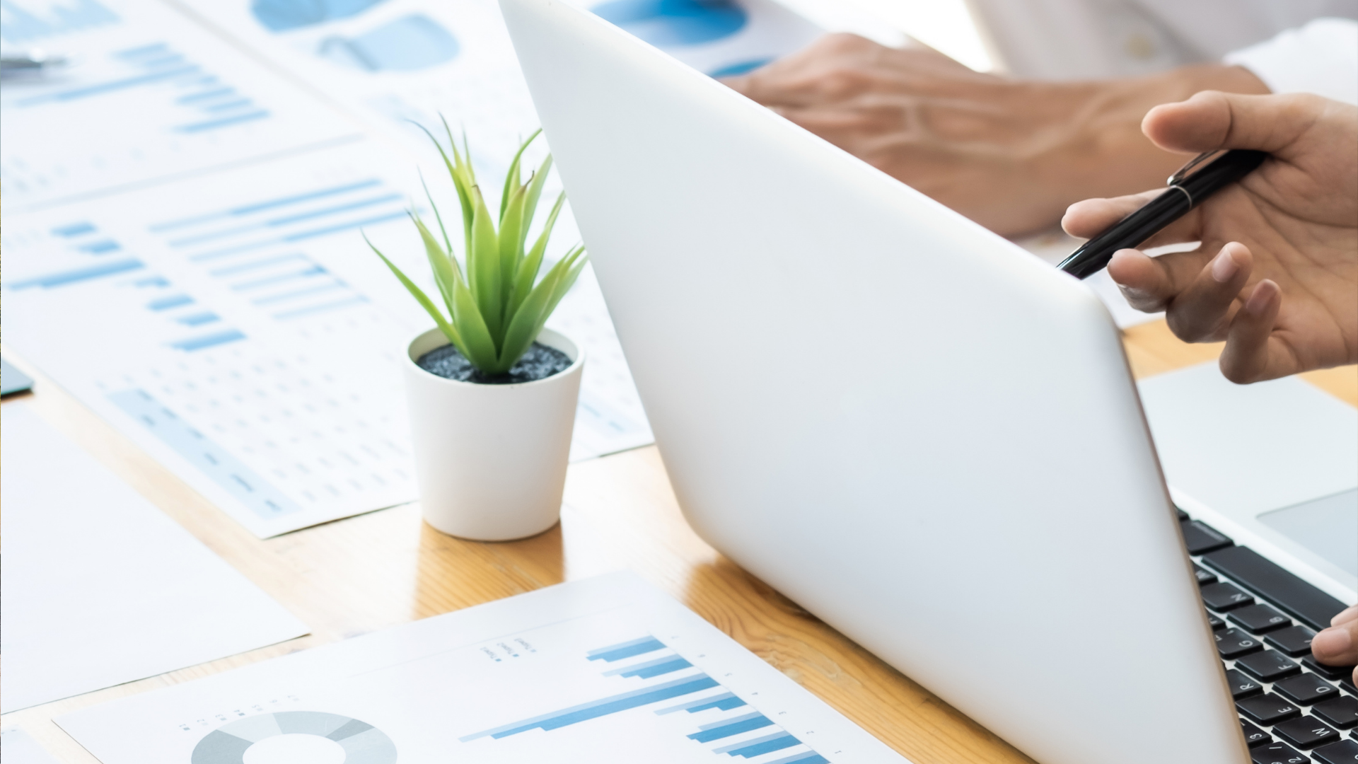 Person using a laptop at a desk with charts, holding a pen beside a small potted plant.