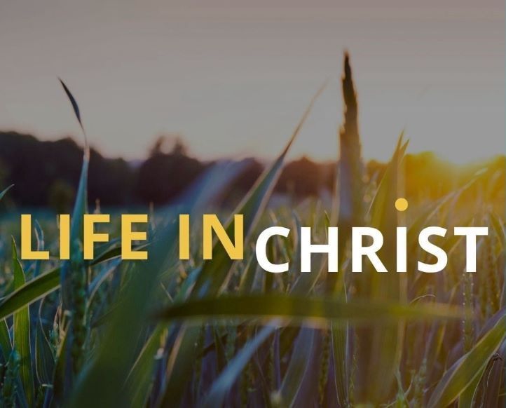 Life In Christ Sermon Title on background of grassland
