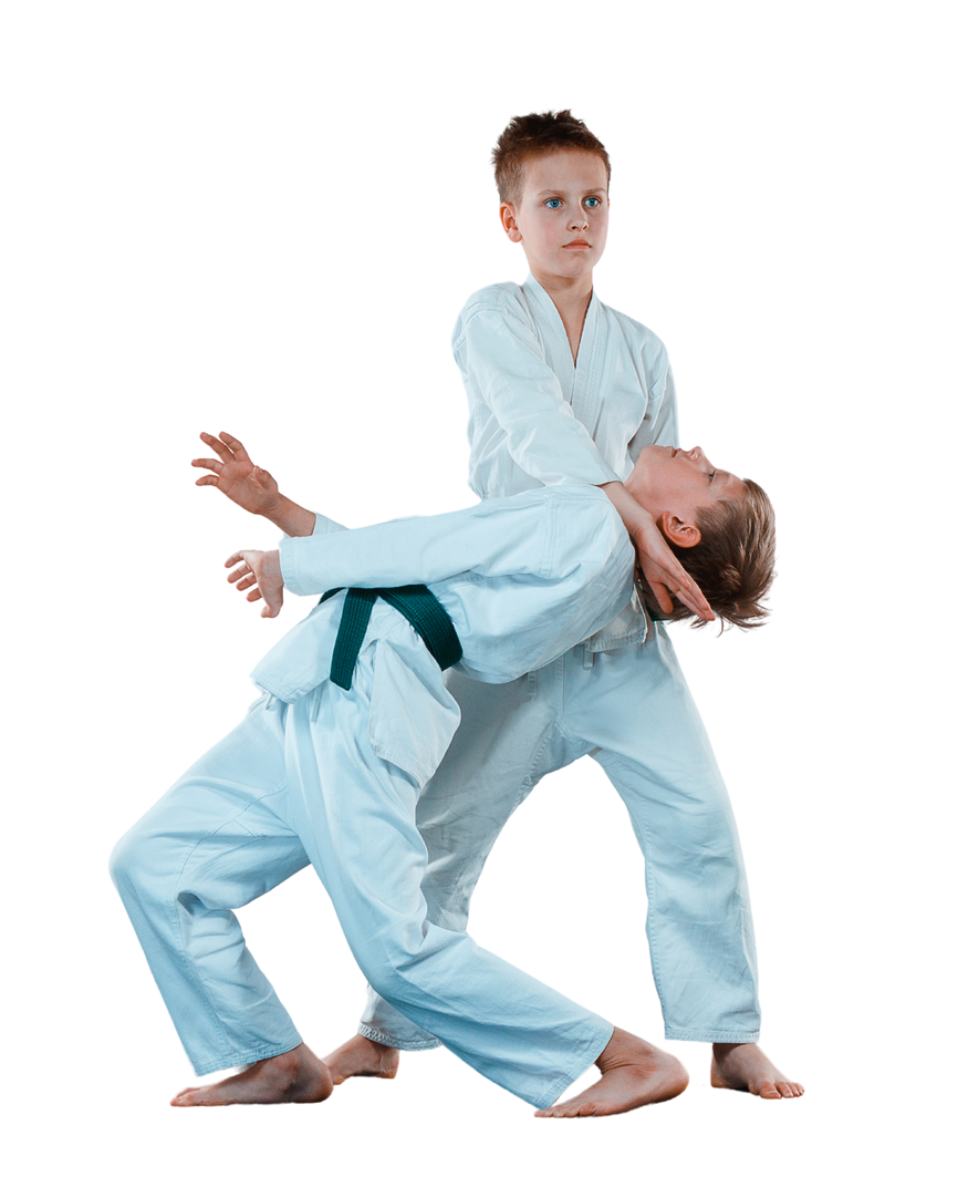 Two young boys are practicing judo on a white background.