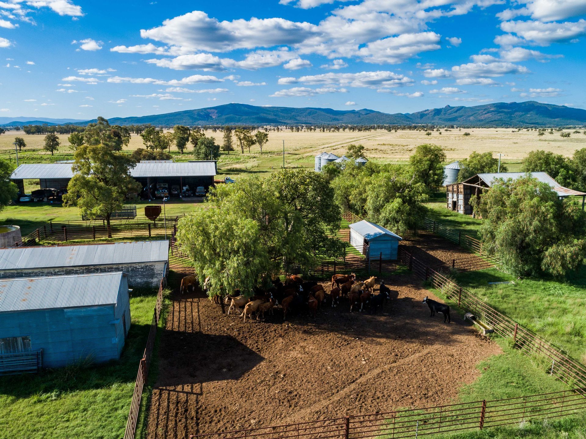 A sunny day on a farm in a green countryside yard with different-sized sheds.