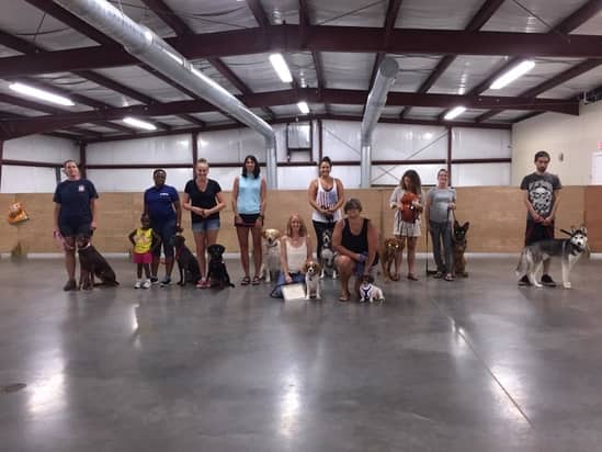 Boarding — Canine Training Unlimited in Chesapeake, VA