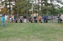 Boarding — Canine Training Unlimited in Chesapeake, VA