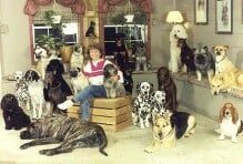 Boarding — Canine Training Unlimited in Chesapeake, VA