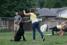 Boarding — Canine Training Unlimited in Chesapeake, VA