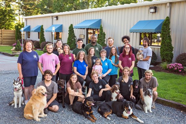 Canine training — Canine Training Unlimited in Chesapeake, VA