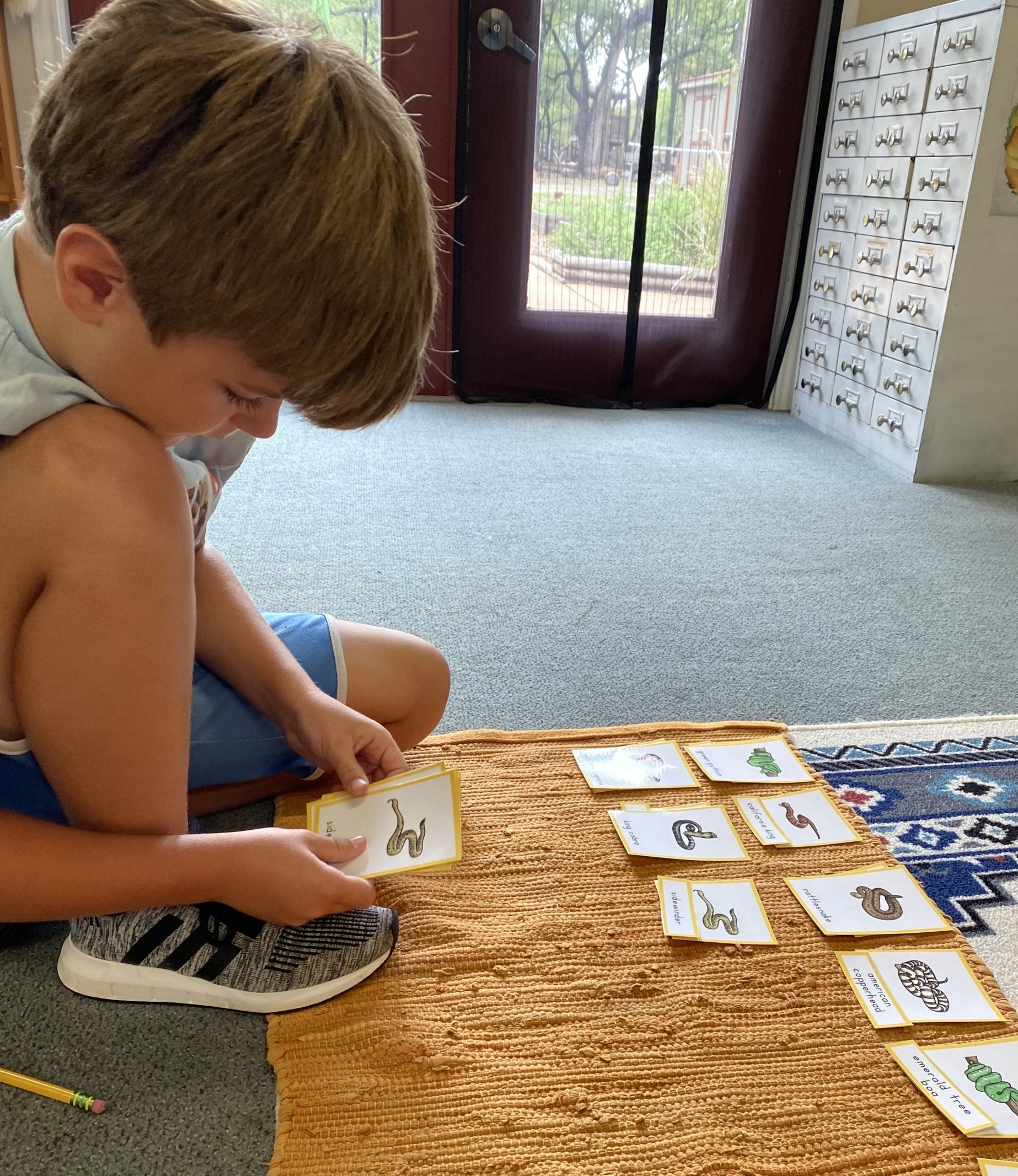 A young boy is sitting on the floor working with montessori worm cards