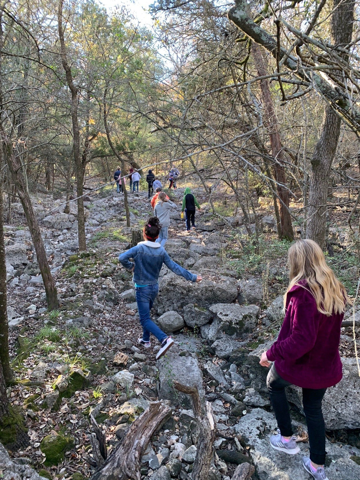 A group of children are walking down a rocky trail in the woods.