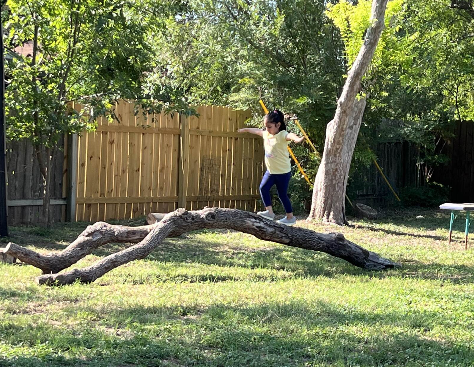A little girl is standing on a log in a park.