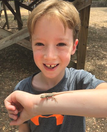A young boy is holding a lizard on his arm.