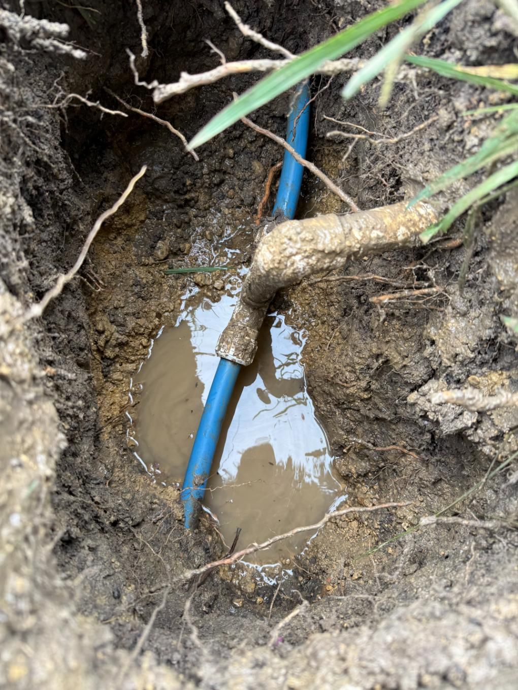 Hole in the ground revealing a blue water pipe connected to a brass fixture; water pools around the connection.