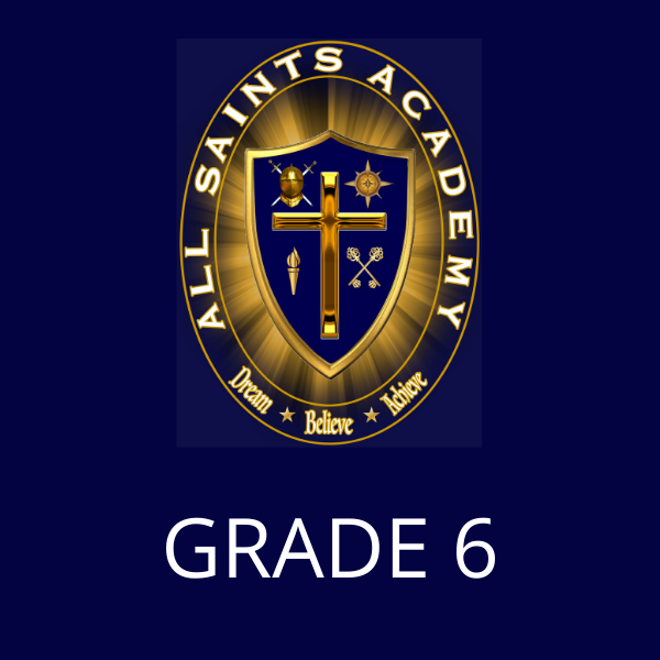 All saints academy grade 6 logo on a blue background