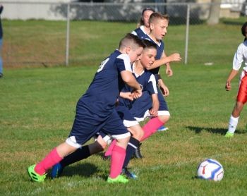 A group of young boys are playing soccer on a field.