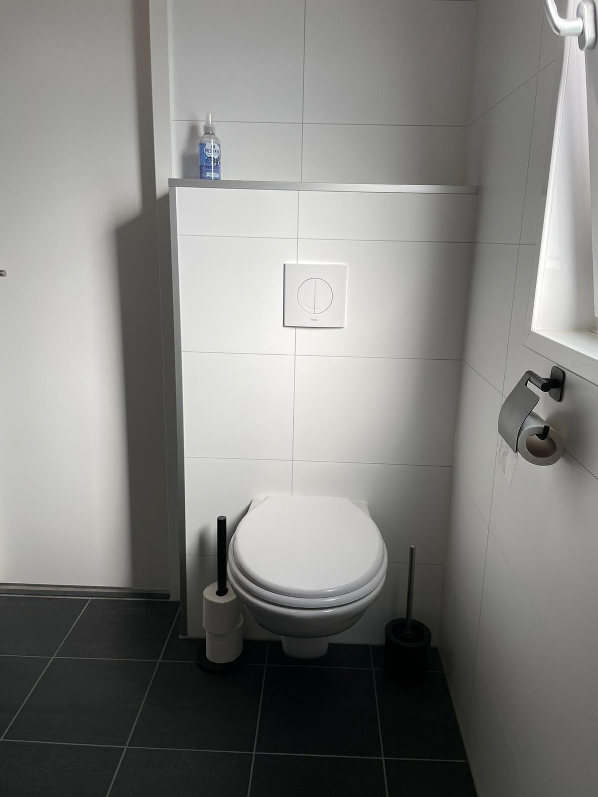 Er is een toilet in de badkamer met toiletborstel.