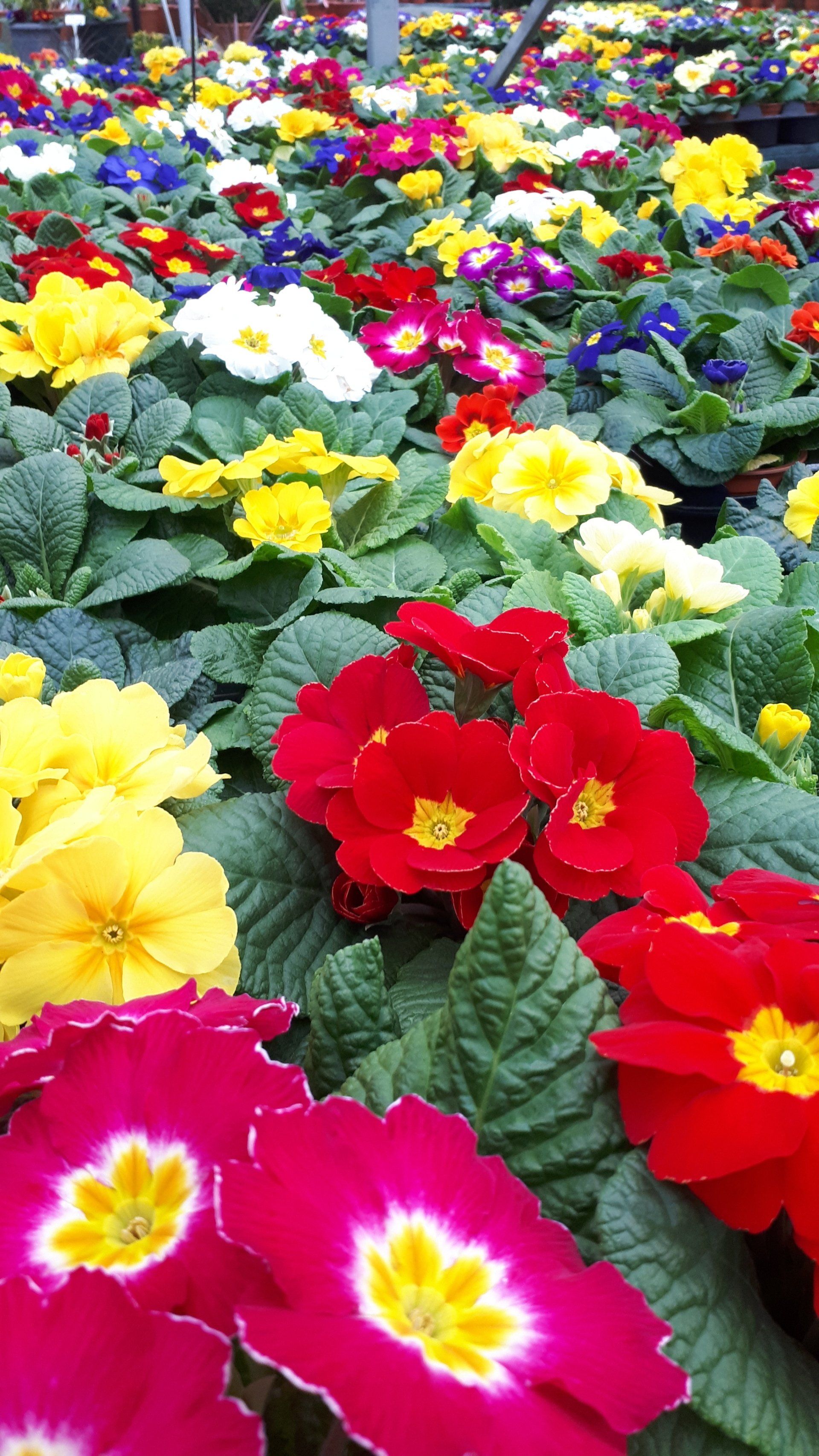 hhhhh DDDDDDDDDDDDDDDDD