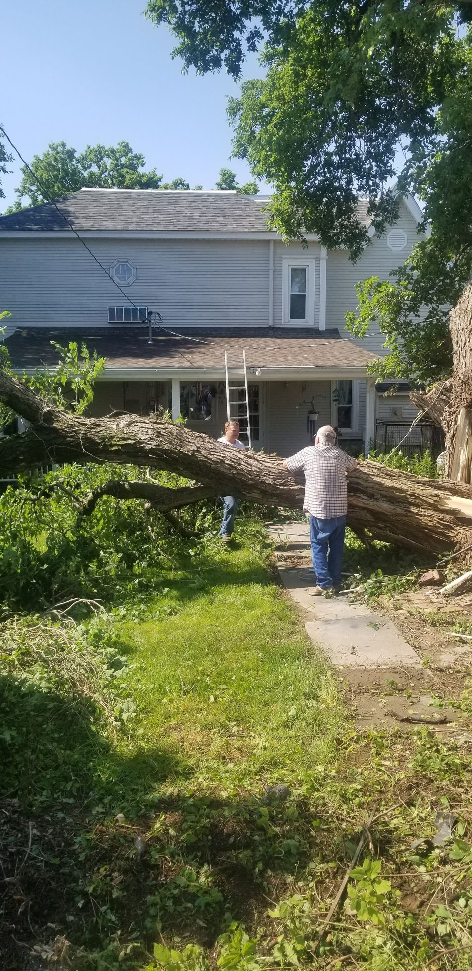 House damaged by fallen tree, surrounded by branches; wood chipper in the background.