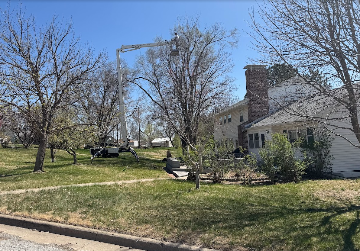 Person using pruning shears to cut a tree branch.
