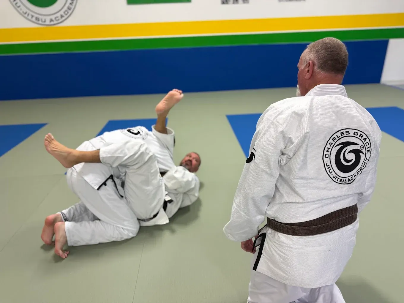 Adult Jiu-Jitsu