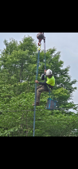 A man is climbing up a tree with a crane.