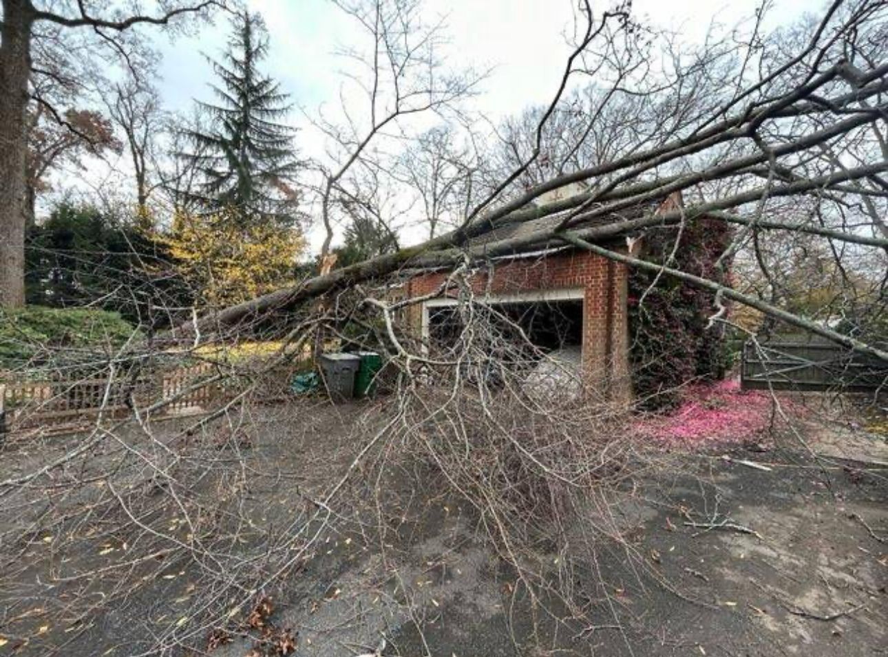 A tree has fallen on top of a garage.