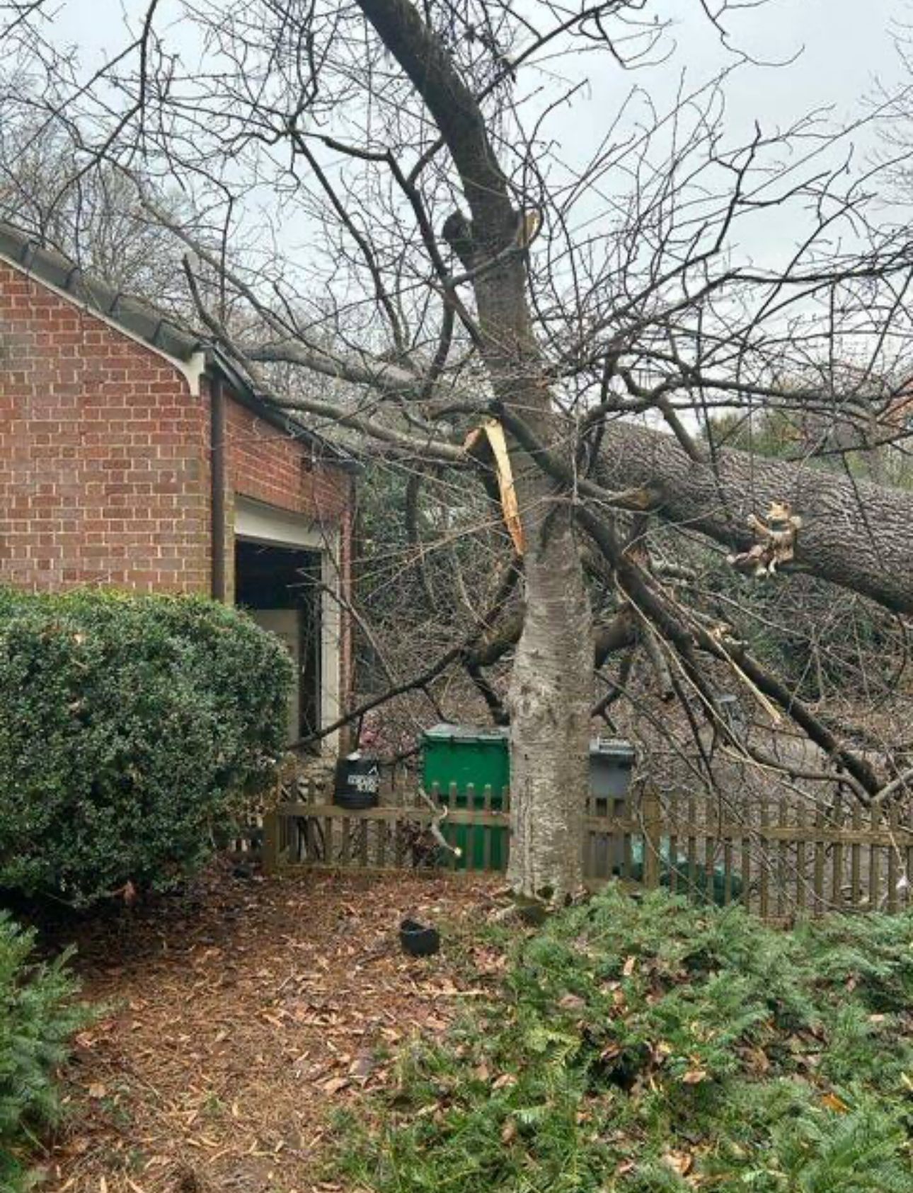 A tree that has fallen in front of a house.