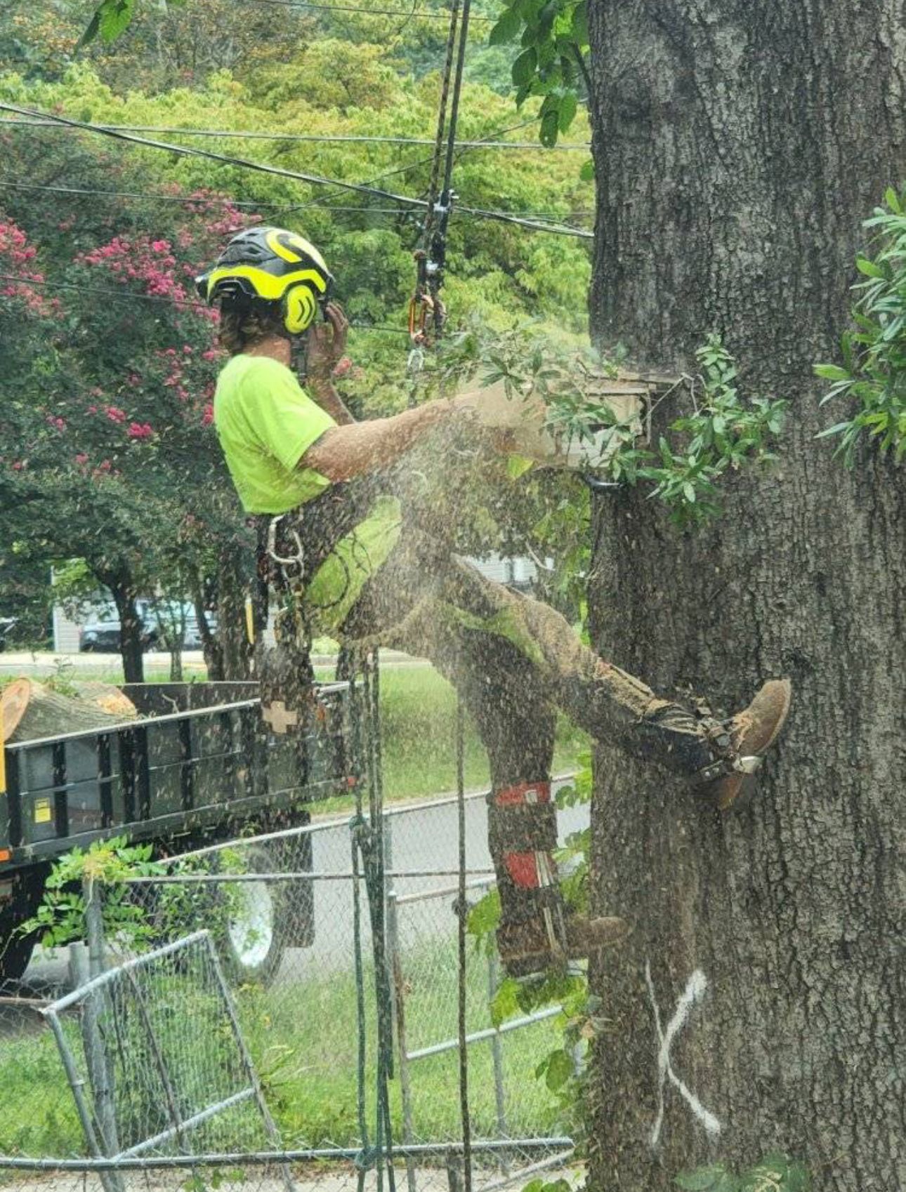 A man is cutting a tree with a chainsaw.