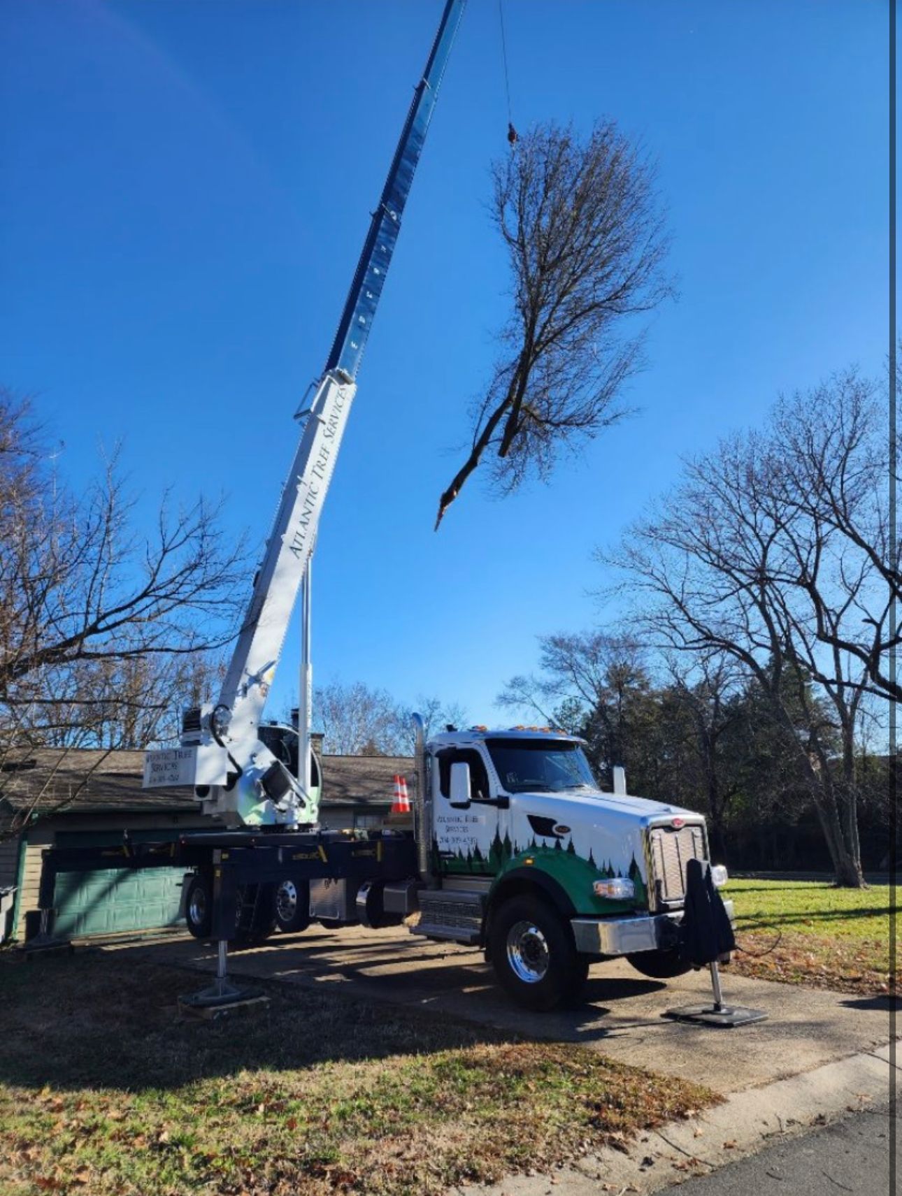A crane is lifting a tree branch from a truck.