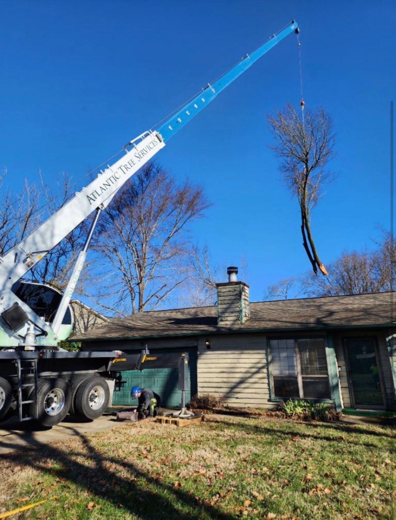 A crane is lifting a tree in front of a house.
