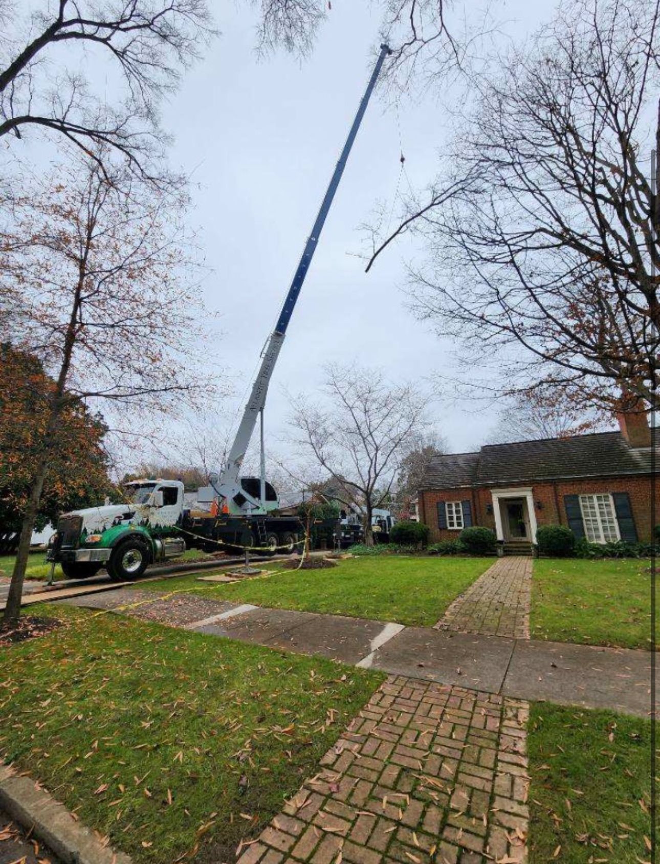 A crane is lifting a tree in front of a house.