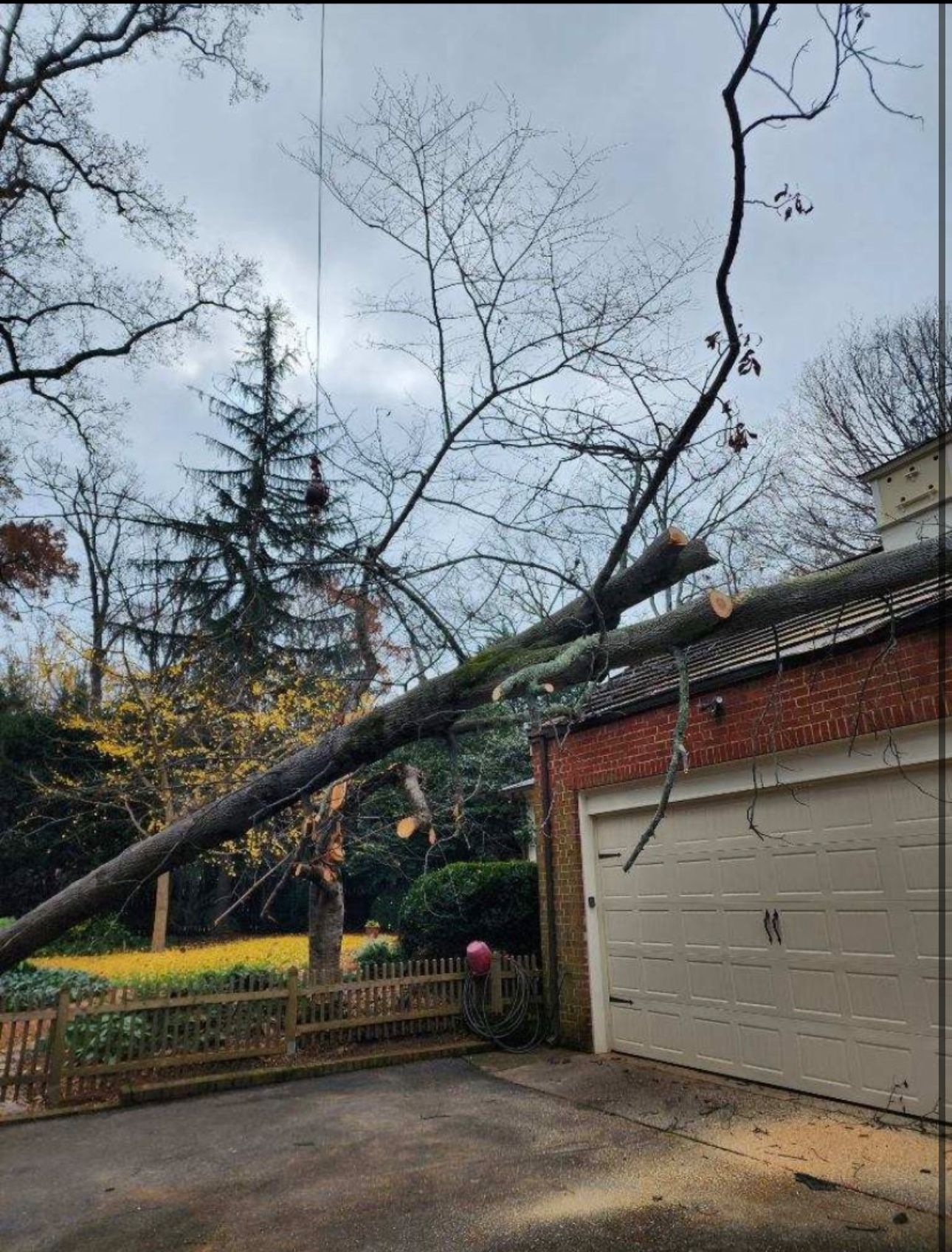 A tree branch is hanging over a garage door.