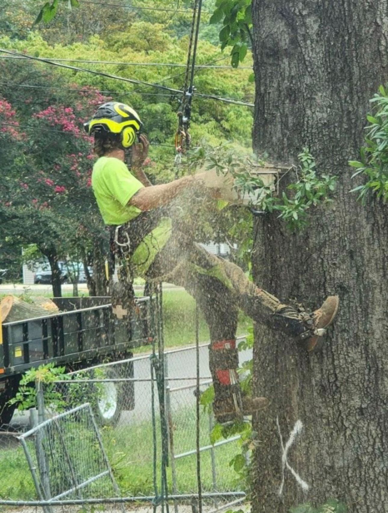 A man is climbing a tree with a chainsaw.