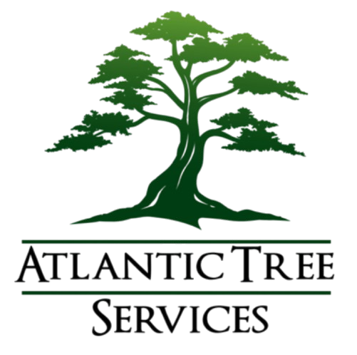 The logo for atlantic tree services has a tree on it