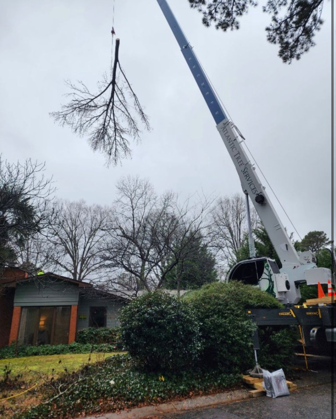 A crane is lifting a tree branch in front of a house