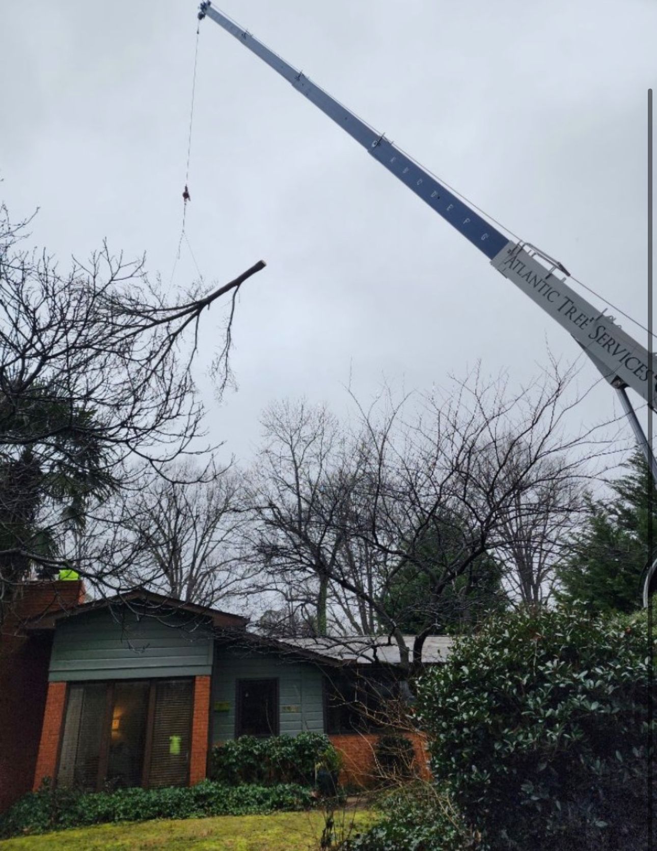 A crane is lifting a tree branch in front of a house