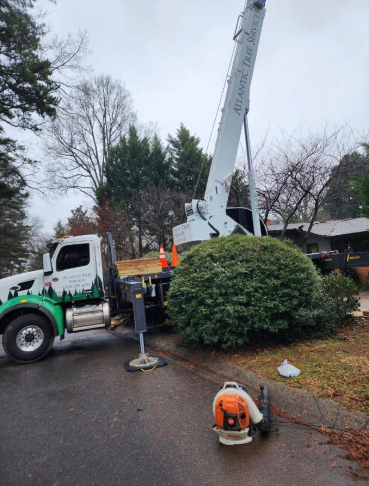 A truck with a crane attached to it is cutting a tree.